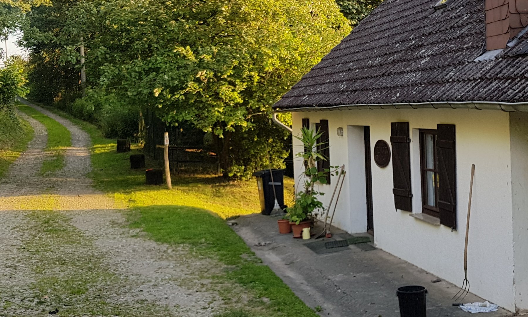 Die Alte Mühle in Ohlweiler im Abendlicht
