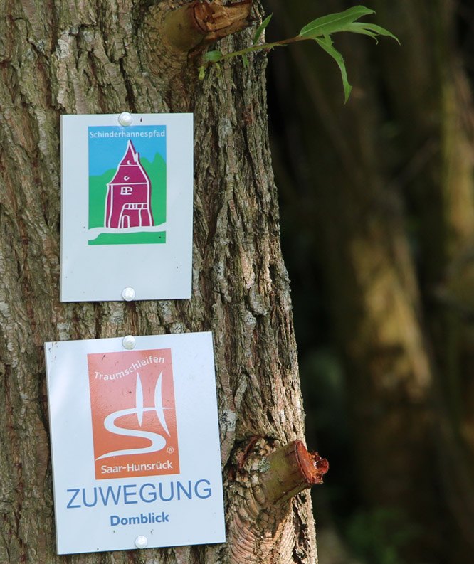 Wanderwege führen direkt an der Mühle vorbei
